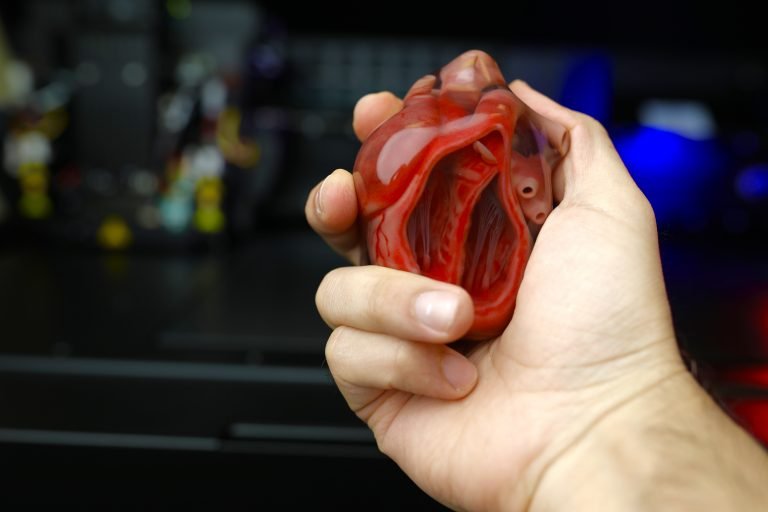 Full Color 3D Heart