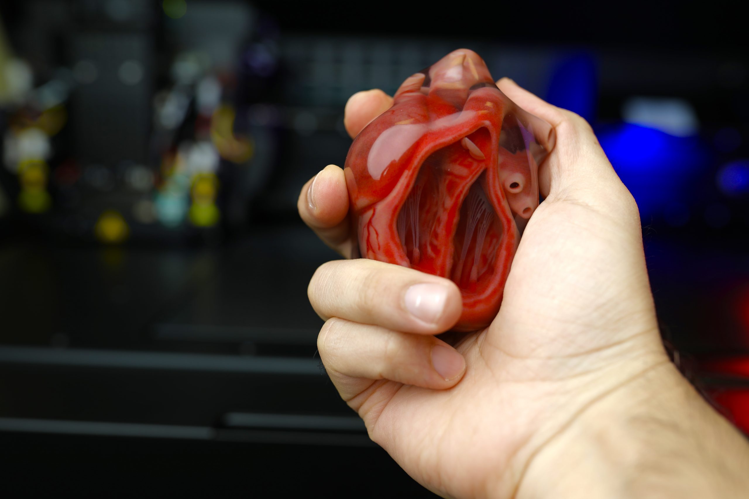 3D Printed Heart Model-3d-Printing Services