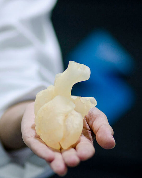 3D Medical heart