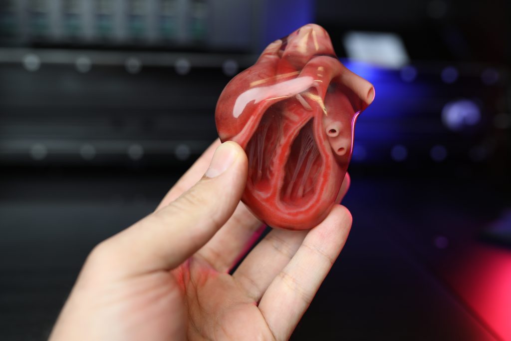 Full-Color 3D Printed Heart